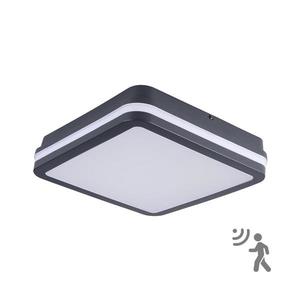 Brilagi Brilagi - LED Venkovní svítidlo se senzorem BENE LED/24W/230V 26x26 cm IP54 obraz