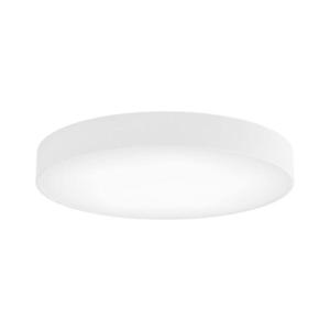 LED Stropní svítidlo CLEO LED/69W/230V 4000K pr. 60 cm bílá obraz