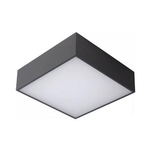 Lucide Lucide 27816/10/29 - LED Koupelnové stropní svítidlo ROXANE LED/12W/230V IP54 obraz