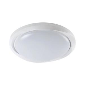 LED Stmívatelné stropní svítidlo LED/60W/230V 3000-6500K 49, 2 cm bílá + DO obraz