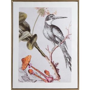 ArtFir Obraz BIRD 636 | bílá 45 x 60 cm obraz