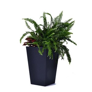 Rattan planter L Keter obraz