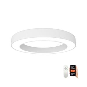 Neo NEO 07212L - LED Stmívatelné svítidlo PASTEL LED/53W/230V bílá Tuya + DO obraz