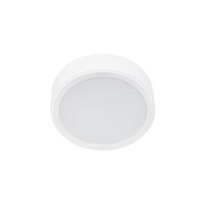 Philips Philips - LED Stropní svítidlo MESON LED/16, 5W/230V 3000K obraz