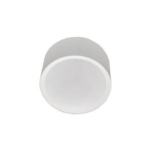 LED Koupelnové stropní svítidlo PERCI LED/20W/230V IP40 4000K bílá obraz