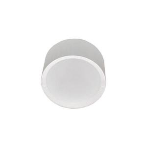 LED Koupelnové stropní svítidlo PERCI LED/30W/230V IP40 4000K bílá obraz