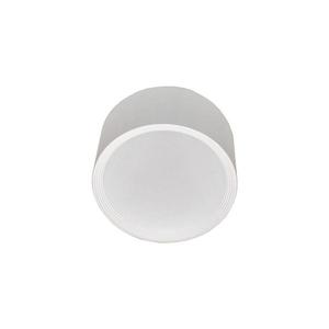 LED Koupelnové stropní svítidlo PERCI LED/30W/230V IP40 2700K bílá obraz