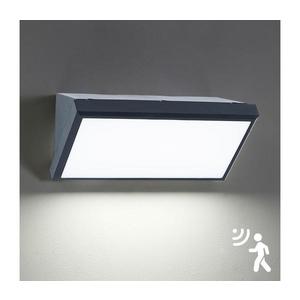 Brilagi Brilagi - LED Venkovní nástěnné svítidlo se senzorem TRIANGLE LED/20W/230V antr. obraz