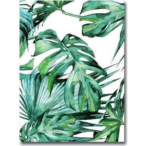 Obraz Wallity Jungle, 28 x 38 cm obraz