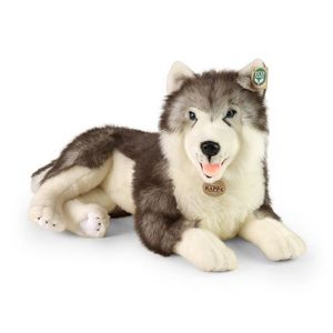 Rappa Plyšový pes husky ležící 60 cm obraz