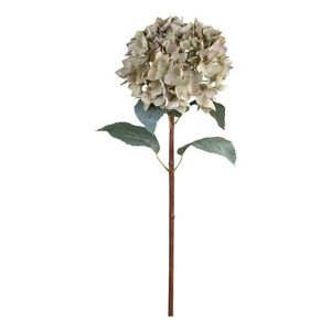 Dekorace umělá zelená květina Hortenzie Hydrangea dusty green - 80 cm 39058521 obraz