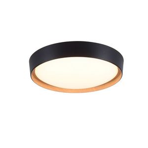 STROPNÍ LED SVÍTIDLO, 40/10 cm obraz