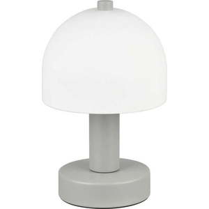 Šedá stolní lampa se skleněným stínidlem (výška 19 cm) Glenn – Trio obraz