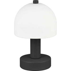 Černo-bílá stolní lampa se skleněným stínidlem (výška 19 cm) Glenn – Trio obraz