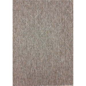 Béžový venkovní koberec 80x150 cm Zagora – Ayyildiz Carpets obraz