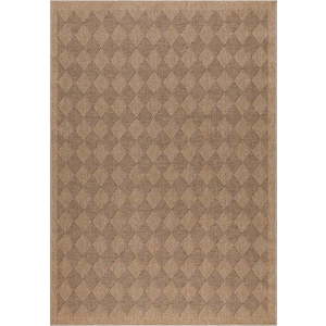 Venkovní koberec v černo-přírodní barvě 120x170 cm Dhaka – Ayyildiz Carpets obraz