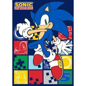 Faro Dětská fleecová deka Polar JEŽEK SONIC 100x140 cm modrá obraz