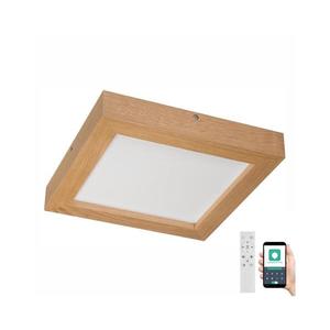 Brilagi Brilagi-LED Stmívatelné svítidlo WOODY FRAME LED/24W/230V dub 30x30 cm IP44 + DO obraz