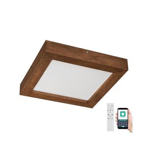 Brilagi Brilagi-LED Stmívatelné svítidlo WOODY FRAME LED/24W/230V dub 30x30 cm IP44 + DO obraz