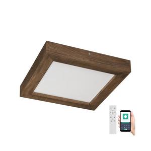 Brilagi Brilagi-LED Stmívatelné svítidlo WOODY FRAME LED/24W/230V dub 30x30 cm IP44 + DO obraz