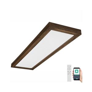 Brilagi Brilagi-LED Stmívatelné svítidlo WOODY FRAME LED/50W/230V dub 120x30 cm IP44 +DO obraz