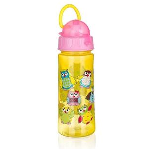 Láhev Owl 500ml obraz