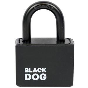 Visací zámek RV.BLACKDOG.30 obraz