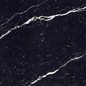 Dlažba Black Marquina 60/60 obraz