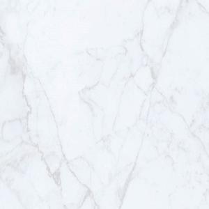 Nástěnný Panel PVC MOTIVO Carrara Marble obraz