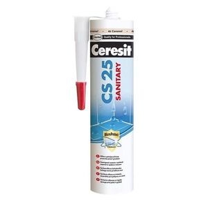 20WS+CS25 SANITARNI SILIKON STEEL 280ML obraz