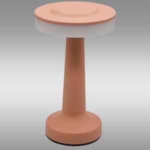 Stolní lampa Maria 49016 pink USB LB1 obraz