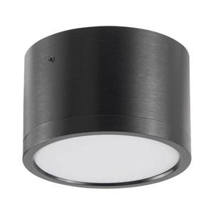 LED Stropní svítidlo MIRELLA 1xGX53/6W/230V černá obraz