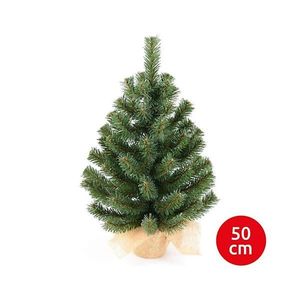 Vánoční stromek XMAS TREES 50 cm borovice obraz