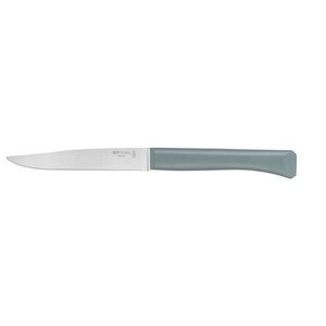 Opinel Bon Appetit steakový nůž s polymerovou rukojetí, šalvějový, čepel 11 cm 2195 obraz