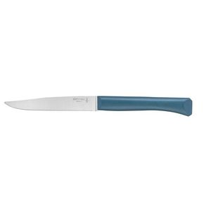 Opinel Bon Appetit steakový nůž s polymerovou rukojetí, tyrkysový, čepel 11 cm 2190 obraz