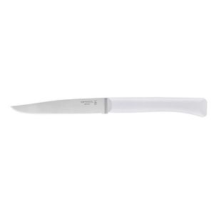 Opinel Bon Appetit steakový nůž s polymerovou rukojetí, šedobílý, čepel 11 cm 1900 obraz