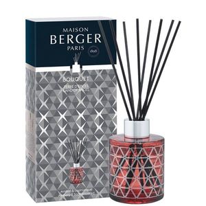 Maison Berger Paris Aroma difuzér Géode, Země koření 115 ml 6837 obraz