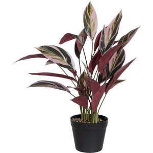 Umělá rostlina (výška 55 cm) Bird of Paradise – Ixia obraz