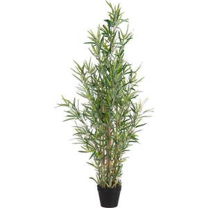 Umělý bambus (výška 120 cm) Bamboo – Ixia obraz