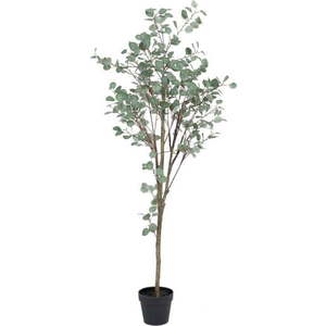 Umělý eukalyptus (výška 180 cm) Eucalyptus – Ixia obraz