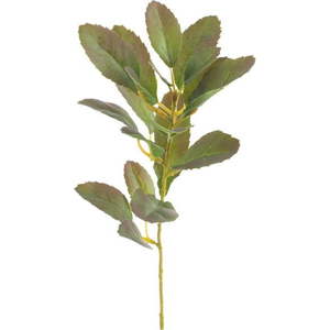 Umělá větvička (výška 37 cm) Lemon Tree – Ixia obraz