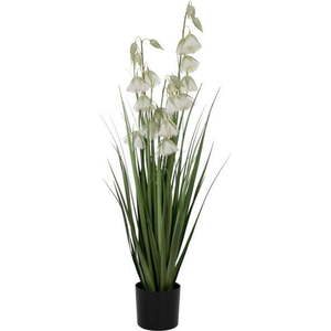 Umělá rostlina (výška 91 cm) – Ixia obraz