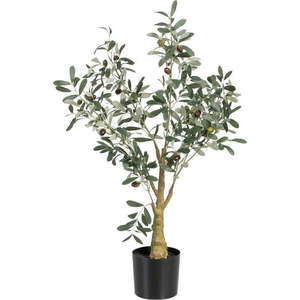 Umělý olivovník (výška 78 cm) Olive Tree – Ixia obraz