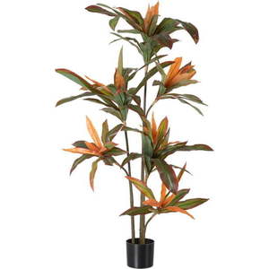 Umělá rostlina (výška 140 cm) Dracena – Ixia obraz