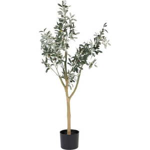 Umělý olivovník (výška 112 cm) Olive Tree – Ixia obraz