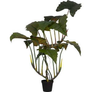 Umělá rostlina (výška 185 cm) Alocasia – Ixia obraz