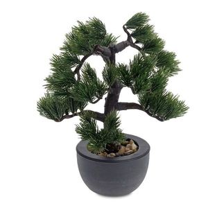 DekorStyle Jehličnatá Bonsai obraz