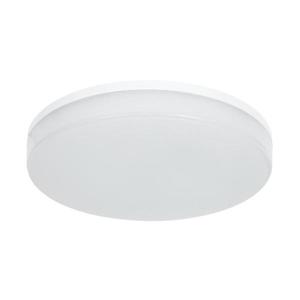 - LED RGBW Stmívatelné koup. stropní svítidlo LED/20W/230V Wi-Fi IP44 bílá obraz