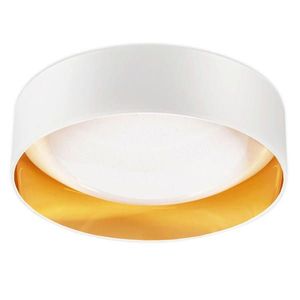 XXXL STROPNÍ LED SVÍTIDLO, 41, 5/13 cm obraz