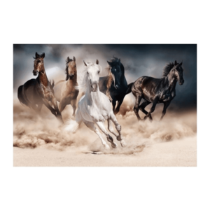 Signal Obraz HORSES | 120 x 80 cm obraz